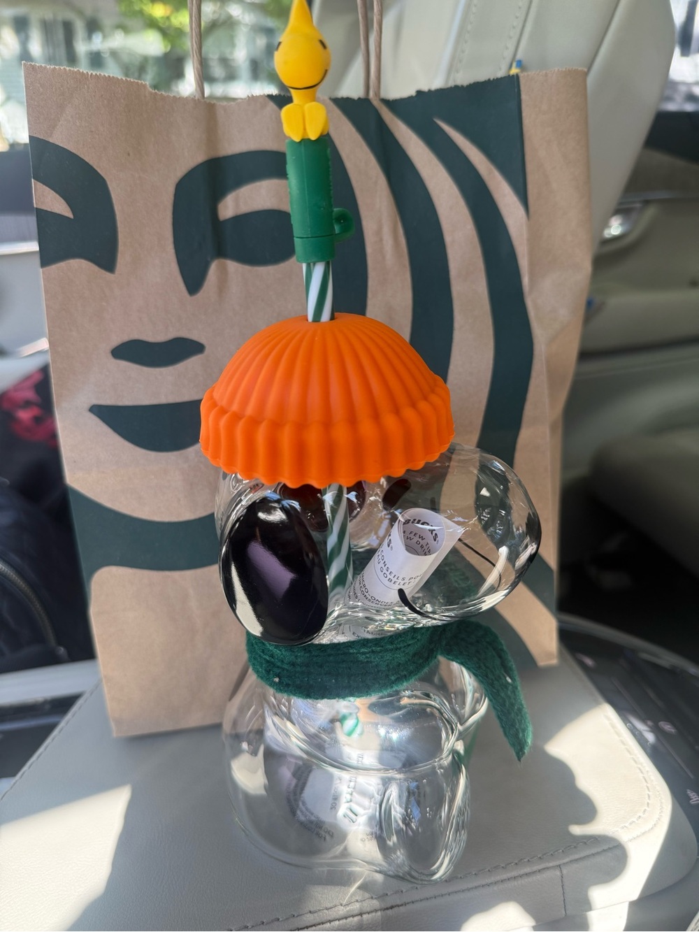 Snoopy 20 oz glass cold cup. Orange beanie, green scarf and Woodstock straw top